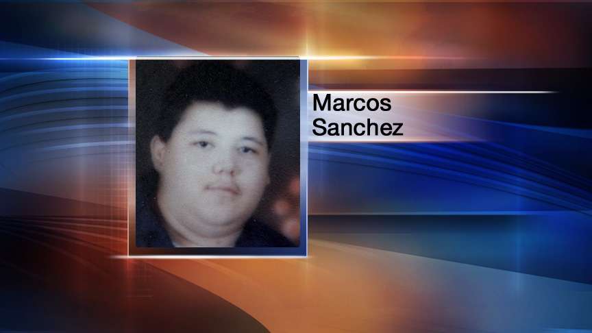 Who should or shouldn't be tested for swine flu?