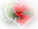 Mothers Day