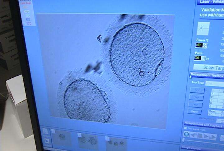 More women turning to freezing eggs for extended fertility