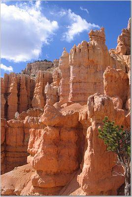 Cold Temperatures and Elevation