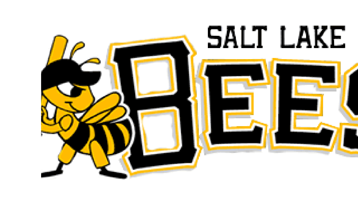Bees game suspended due to rain