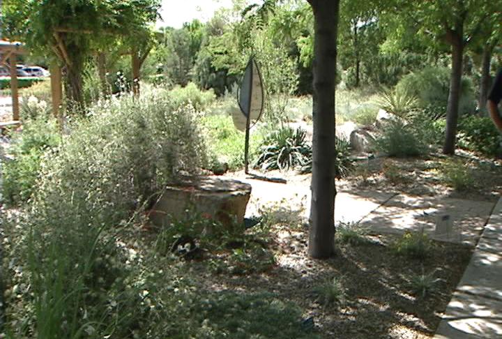 Utahns can save water and water-guzzling trees