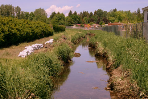 Lt. Gov. calls for study on Utah canals