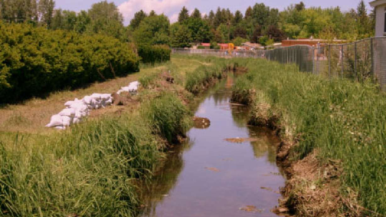 Canal company shareholders OK merger