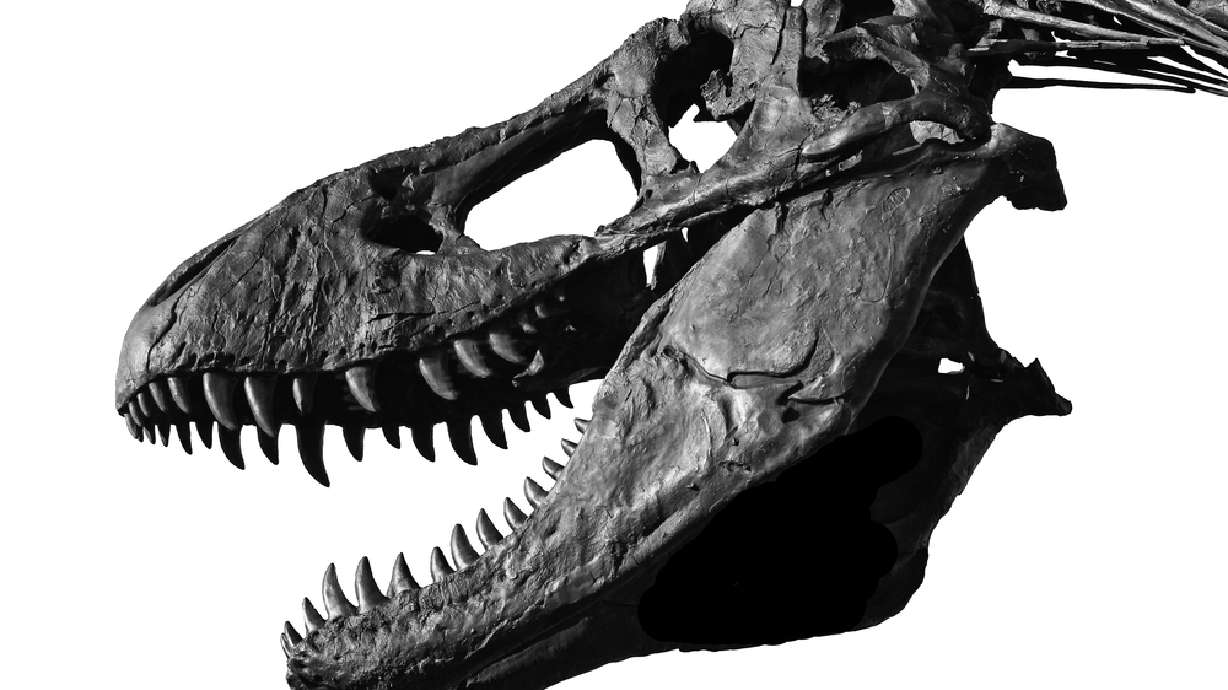 Work to begin in March on Dinosaur visitor center