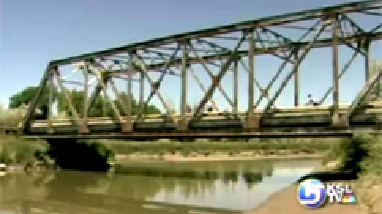 Boy Dies After Leaping From Bridge