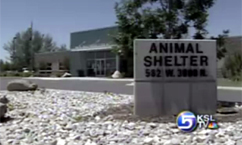 Pet Owners Talk About Accidental Euthanasia at Shelter