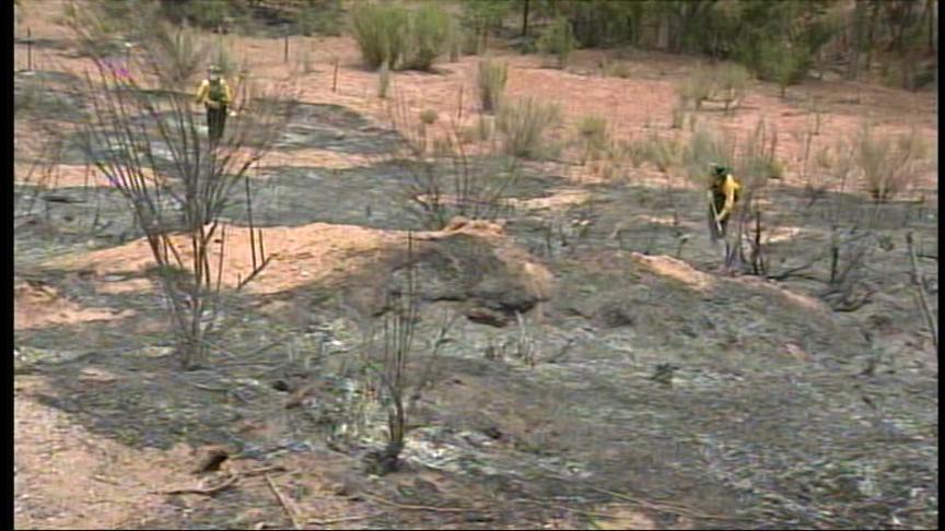 Mother Nature Offers Firefighters a Break