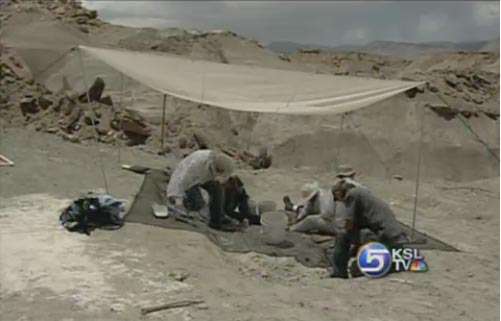 New Center to Replicate Dinosaur Forest