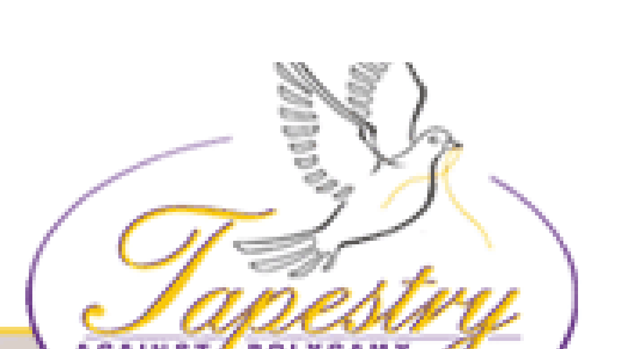 Tapestry Against Polygamy Not Registered as Nonprofit Group