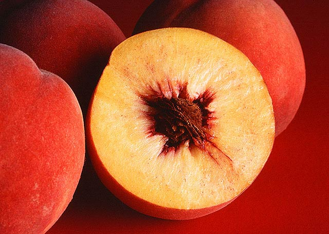 Instructions For Controlling Peach Borer