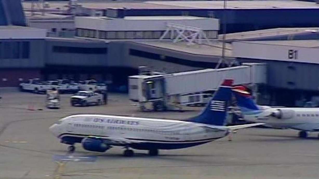 Kangaroo Escapes at Salt Lake Airport