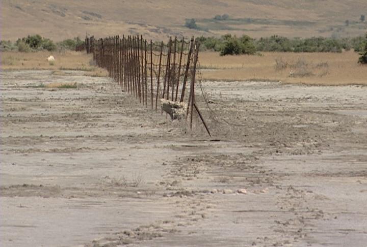 Reclaiming old Jordan River channel for the birds
