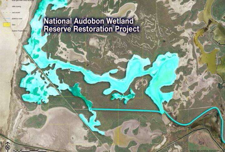 Reclaiming old Jordan River channel for the birds