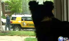 Bark Busters Helps Improve Dog's Behavior