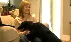 Bark Busters Helps Improve Dog's Behavior