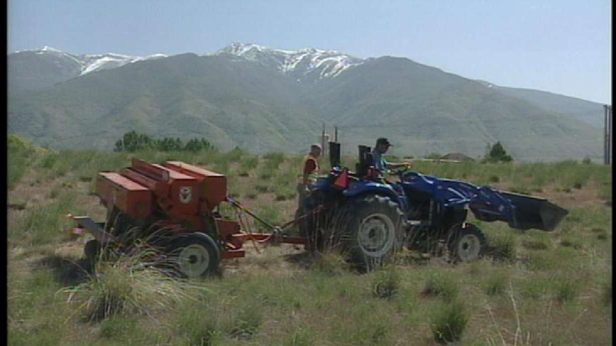 UDOT Starting to Engineer Homegrown Biodiesel Fuel