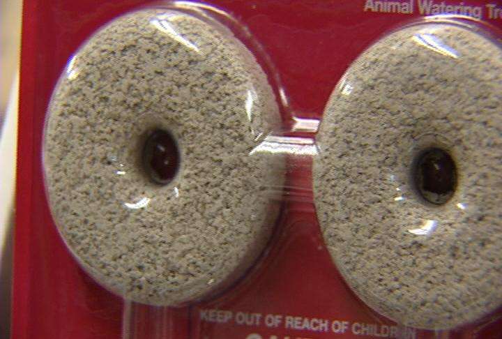 Getting rid of mosquito larvae with a donut