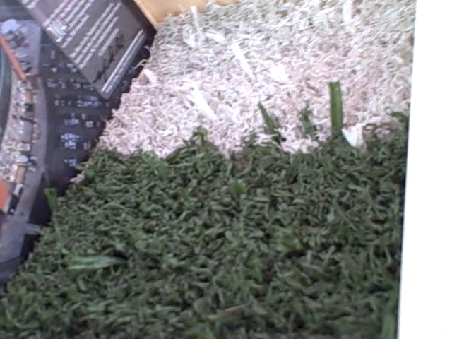 Ute fans grab a piece of stadium turf