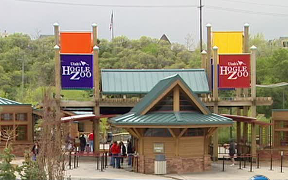 Hogle Zoo hosts cheetah charity run