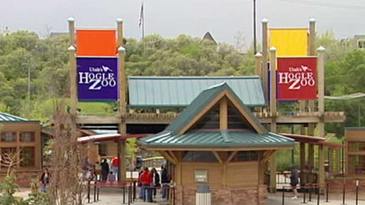 Giraffe stillborn at Hogle Zoo