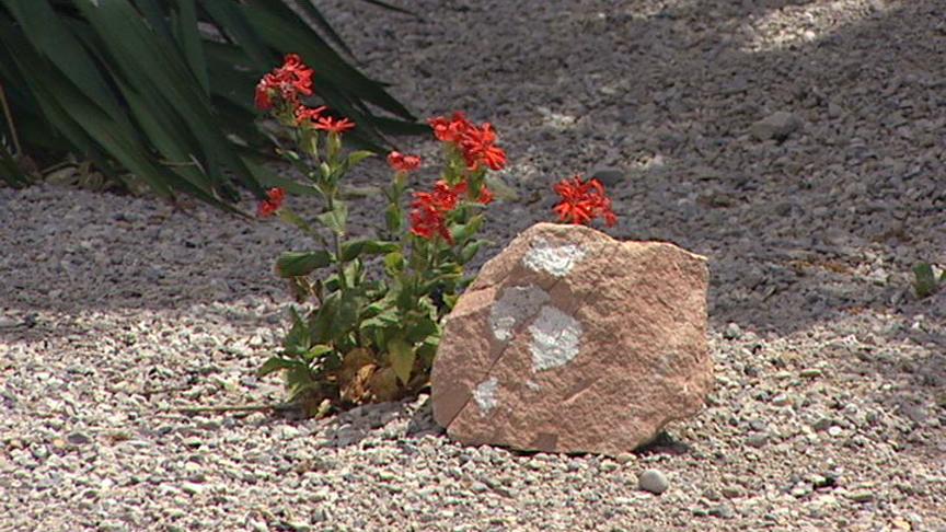 Springtime Water and Energy Conservation Tips