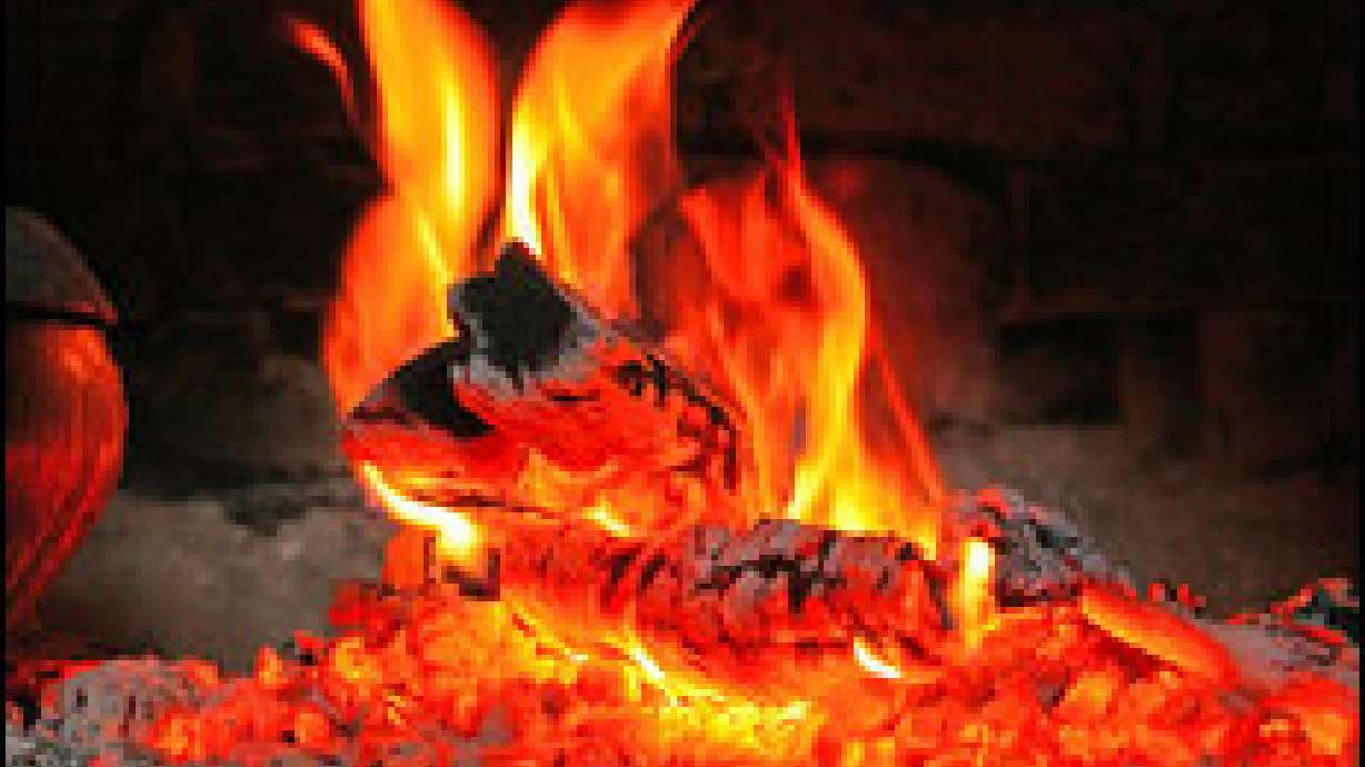 Ashley National Forest firewood permits on sale