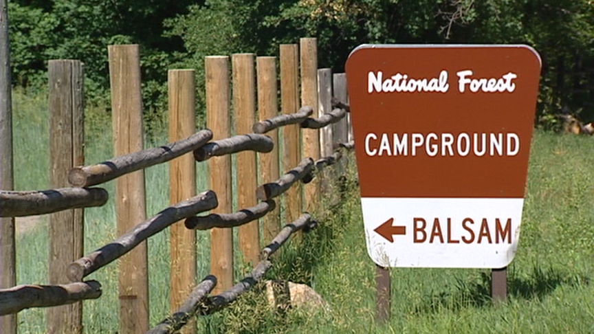 Bear killed after threatening campers