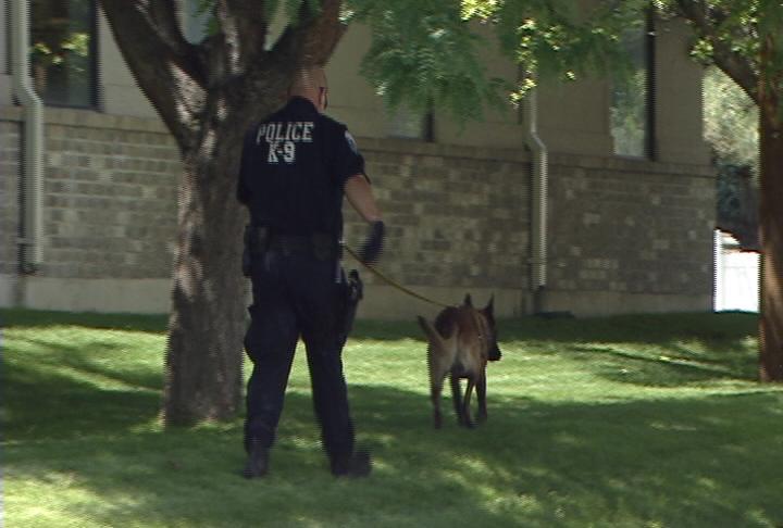 Police searching for Taylorsville bank robber