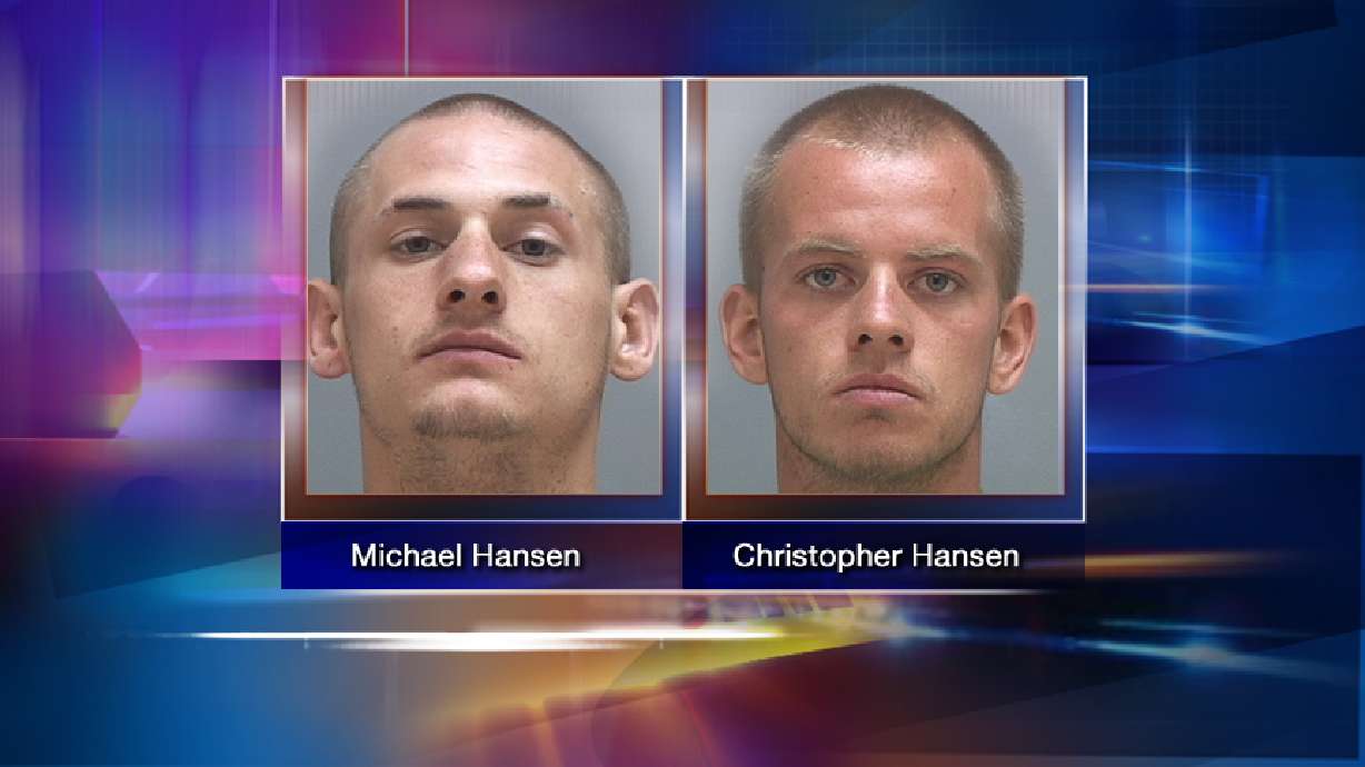 Men arrested for assaulting grandmother