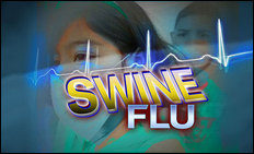 Utah officials attend national swine flu summit