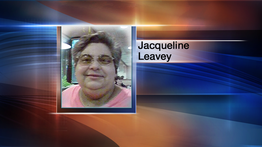 New evidence emerges on condition of Logan canal