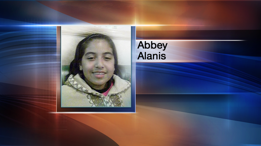 New evidence emerges on condition of Logan canal