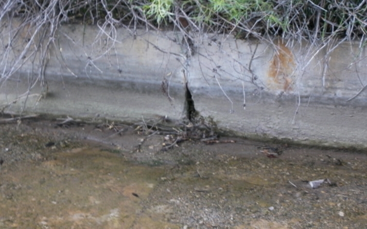 Photo courtesy Tyler Pitcher