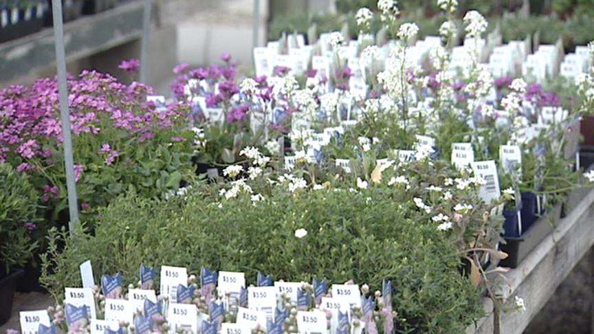 It's Prime Time to Plant Your Garden