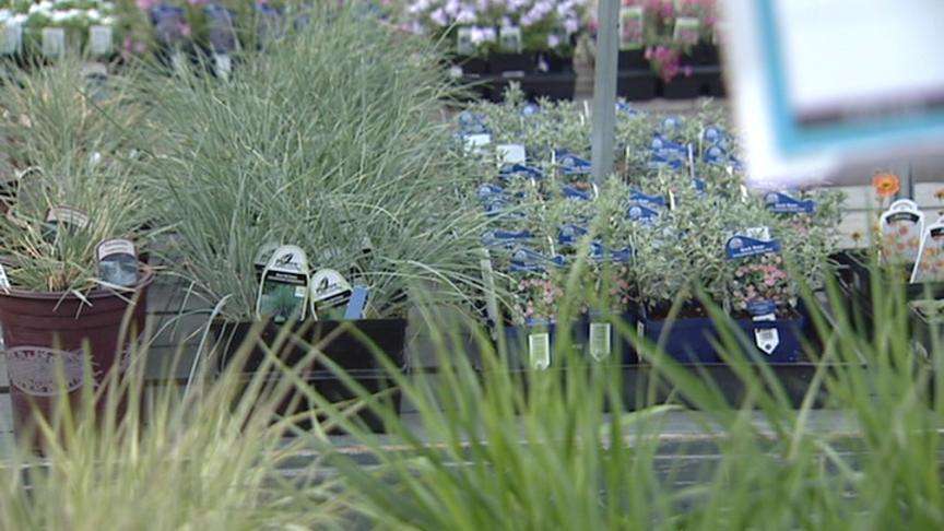 It's Prime Time to Plant Your Garden