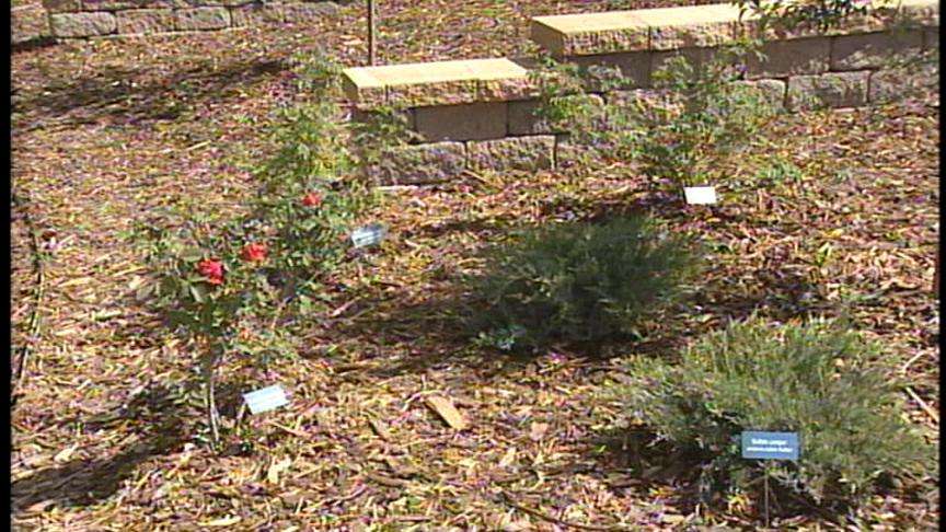New Garden Designed to Help Us Save Water Opens Today