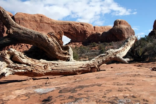 Utah gets federal land, water conservation grant