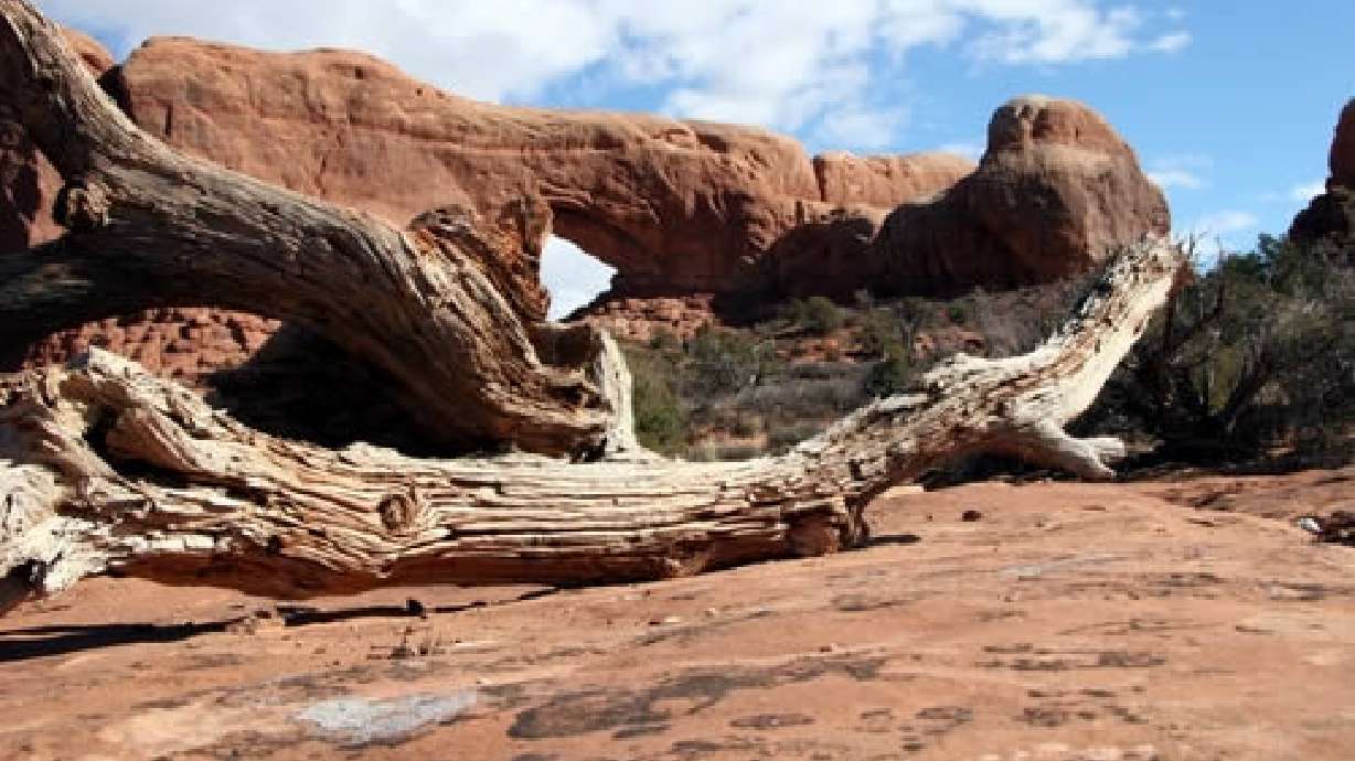 Heat may have played role in death at Arches National Park