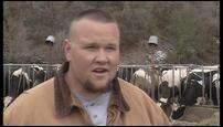 Mapleton Reimburses Man for Dairy Farm