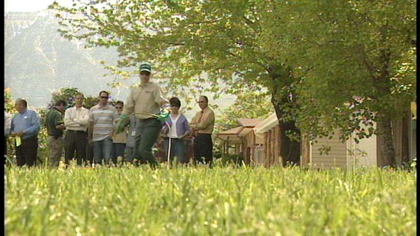 Orem Neighborhoods to Undergo Mandatory Spraying for Japanese Beetles