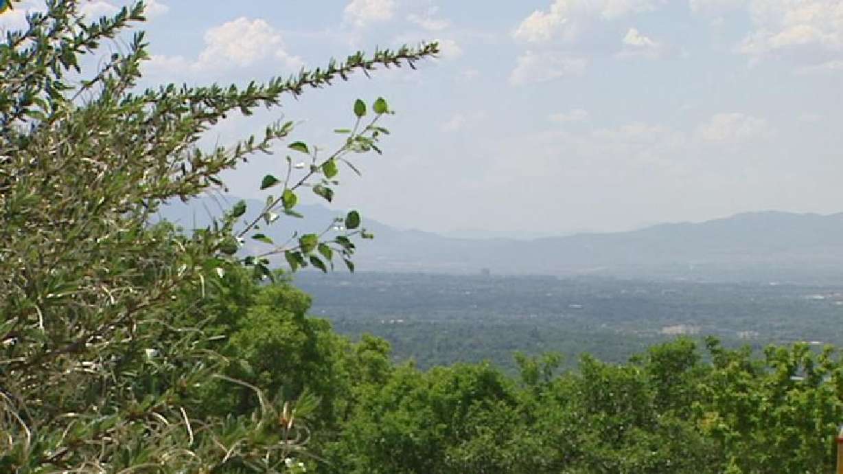 Bad Air Quality Becoming a Year-Round Phenomenon