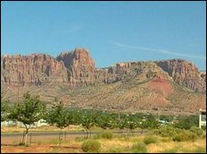 Accountant defends sale of cows from S. Utah farm