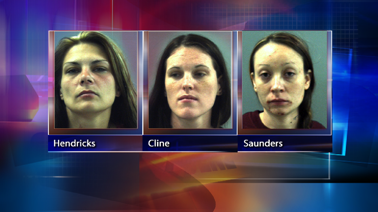 Cops bust theft ring in Riverdale