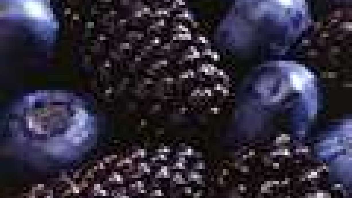 Now's the time to plan blackberry harvest