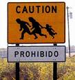 Immigration 