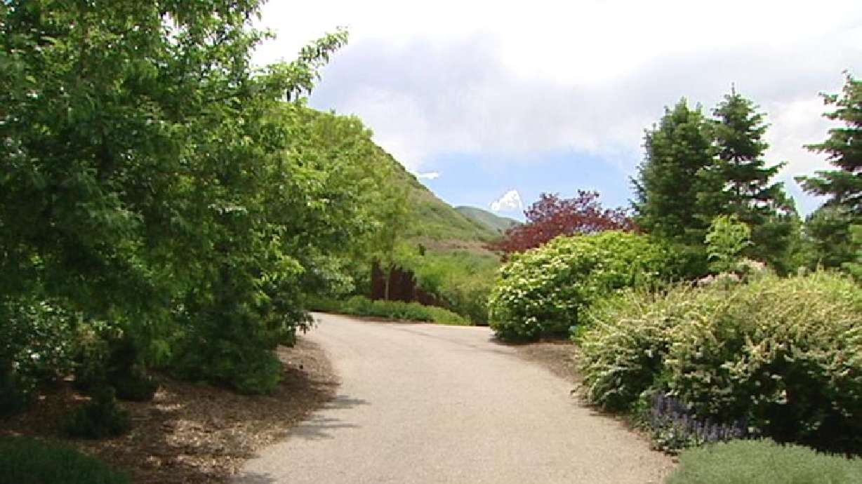 Red Butte Garden to Host Springfest on Saturday