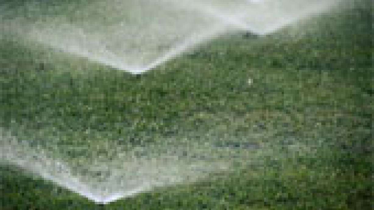 The sprinklers worked!