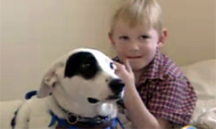 Dog Helps Boy Avoid Seizures