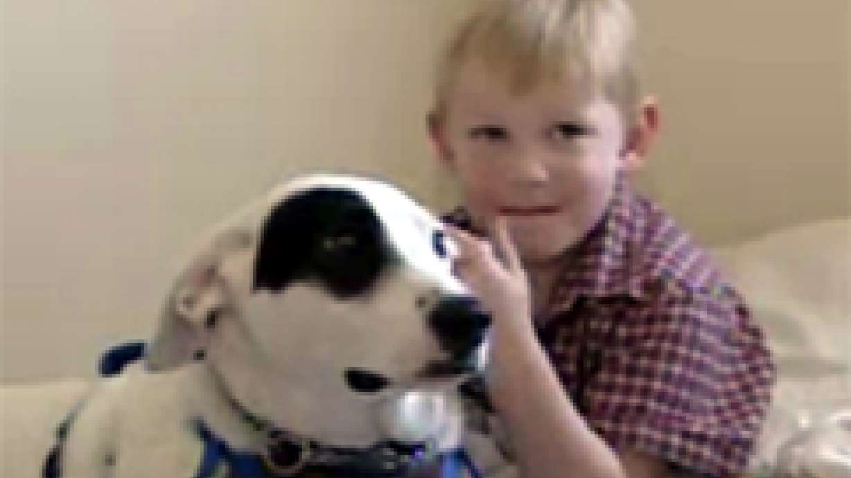 Dog Helps Boy Avoid Seizures